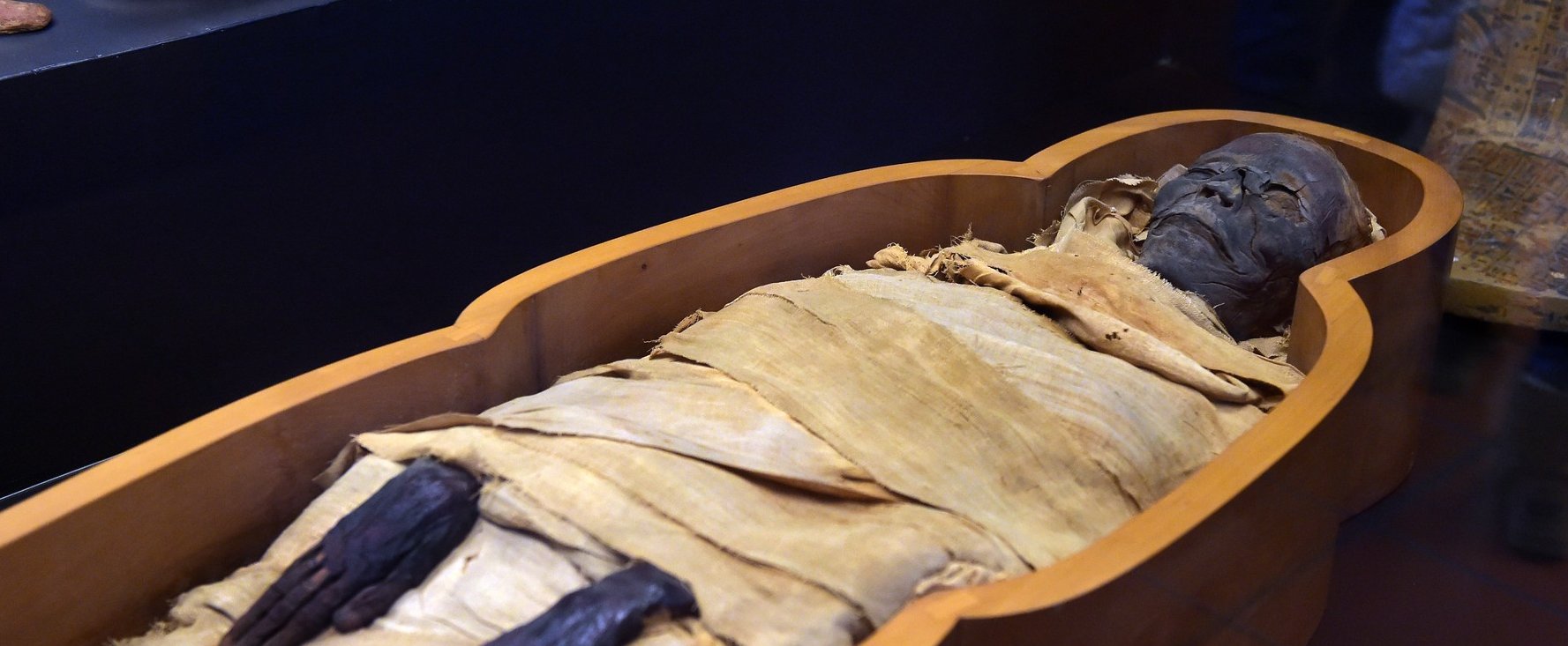 Átírhatja az emberiség történelmét az, amit egy egyiptomi múmia hajában találtak